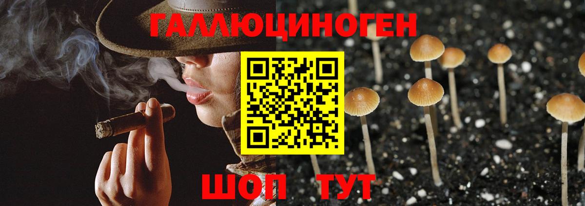 Галлюциногенные грибы прущие грибы  Вход с VPN  Свободный  Псилоцибиновые грибы Magic Shrooms 
