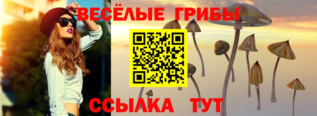 Галлюциногенные грибы мухоморы Свободный